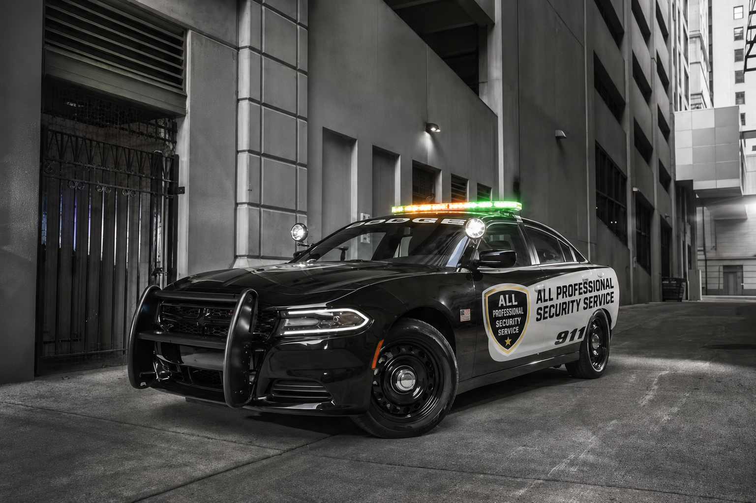 Professional security team for private functions